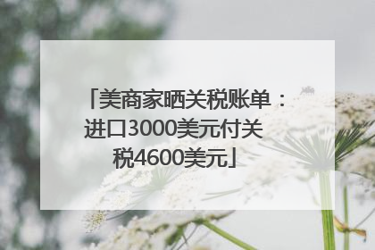 美商家晒关税账单：进口3000美元付关税4600美元