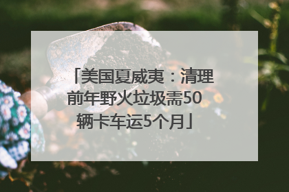 美国夏威夷：清理前年野火垃圾需50辆卡车运5个月