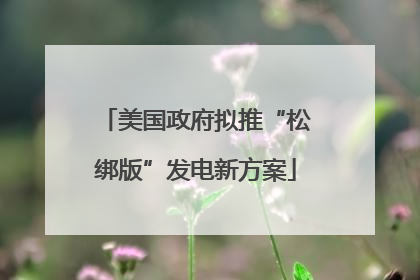 美国政府拟推“松绑版”发电新方案