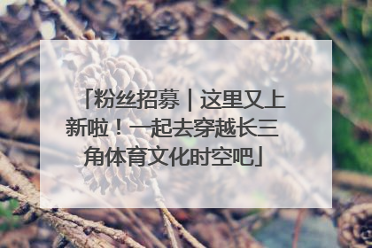 粉丝招募｜这里又上新啦！一起去穿越长三角体育文化时空吧