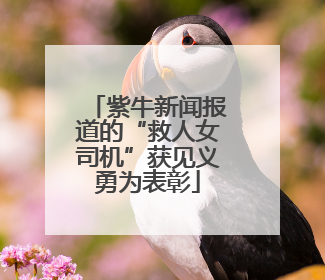 紫牛新闻报道的“救人女司机”获见义勇为表彰