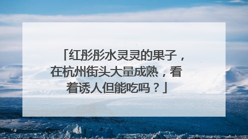 红彤彤水灵灵的果子，在杭州街头大量成熟，看着诱人但能吃吗？