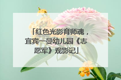 红色光影育师魂，宜宾一曼幼儿园《志愿军》观影记