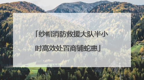 纱帽消防救援大队半小时高效处置商铺蛇患