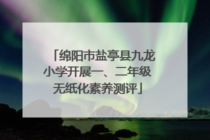 绵阳市盐亭县九龙小学开展一、二年级无纸化素养测评