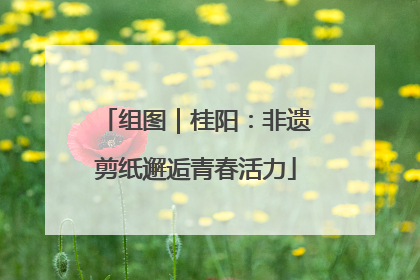 组图｜桂阳：非遗剪纸邂逅青春活力