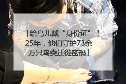 给鸟儿戴“身份证”！25年，他们守护73余万只鸟类迁徙密码