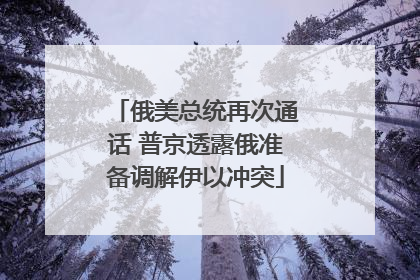 俄美总统再次通话 普京透露俄准备调解伊以冲突