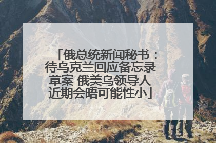 俄总统新闻秘书：待乌克兰回应备忘录草案 俄美乌领导人近期会晤可能性小