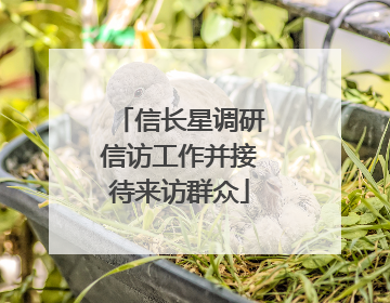信长星调研信访工作并接待来访群众