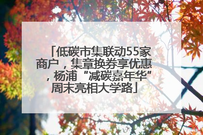 低碳市集联动55家商户，集章换券享优惠，杨浦“减碳嘉年华”周末亮相大学路