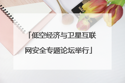 低空经济与卫星互联网安全专题论坛举行
