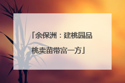 余保洲：建桃园品桃卖苗带富一方