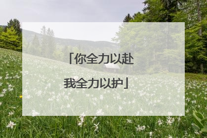 你全力以赴 我全力以护