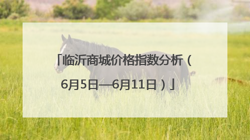 临沂商城价格指数分析（6月5日—6月11日）