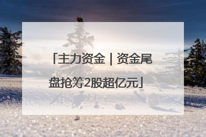主力资金｜资金尾盘抢筹2股超亿元