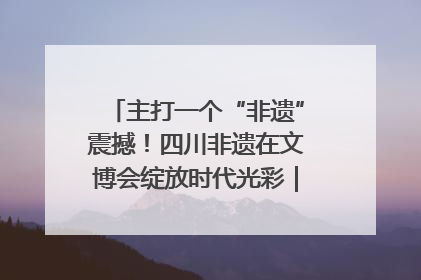 主打一个“非遗”震撼！四川非遗在文博会绽放时代光彩｜文博向“新”