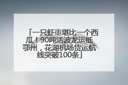 一只虾重堪比一个西瓜！90吨活波龙运抵鄂州，花湖机场货运航线突破100条