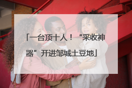 一台顶十人！“采收神器”开进邹城土豆地