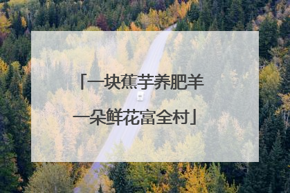 一块蕉芋养肥羊 一朵鲜花富全村