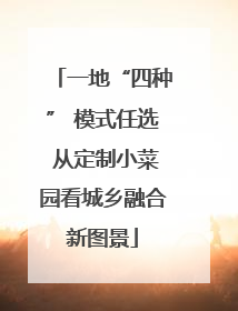 一地“四种” 模式任选 从定制小菜园看城乡融合新图景