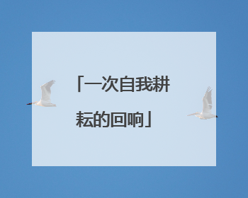 一次自我耕耘的回响