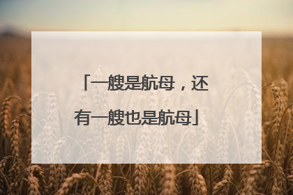 一艘是航母，还有一艘也是航母