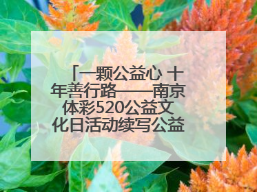 一颗公益心 十年善行路——南京体彩520公益文化日活动续写公益新篇章