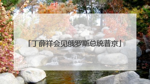 丁薛祥会见俄罗斯总统普京