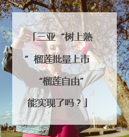 三亚“树上熟”榴莲批量上市 “榴莲自由”能实现了吗？