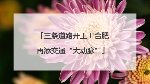 三条道路开工！合肥再添交通“大动脉”