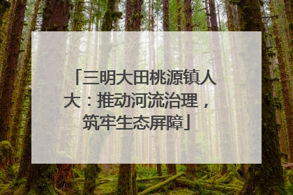 三明大田桃源镇人大：推动河流治理，筑牢生态屏障