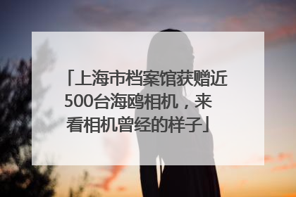 上海市档案馆获赠近500台海鸥相机，来看相机曾经的样子