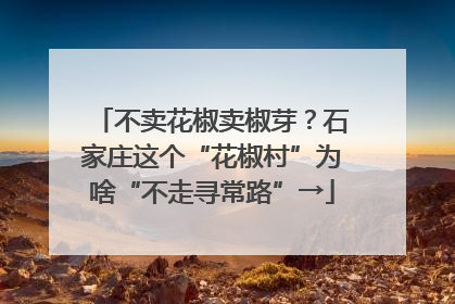 不卖花椒卖椒芽？石家庄这个“花椒村”为啥“不走寻常路”→