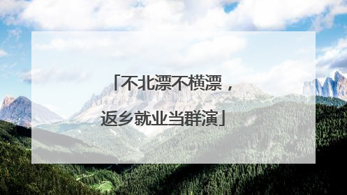 不北漂不横漂，返乡就业当群演