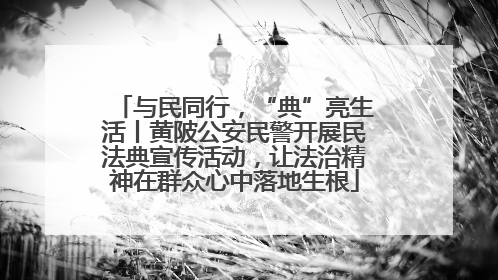 与民同行，“典”亮生活丨黄陂公安民警开展民法典宣传活动，让法治精神在群众心中落地生根