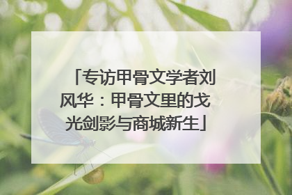 专访甲骨文学者刘风华：甲骨文里的戈光剑影与商城新生