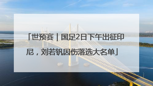 世预赛｜国足2日下午出征印尼，刘若钒因伤落选大名单