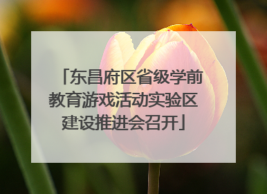 东昌府区省级学前教育游戏活动实验区建设推进会召开