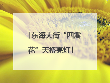 东海大街“四瓣花”天桥亮灯