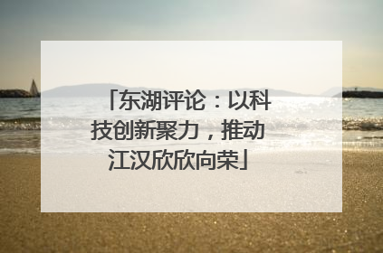 东湖评论：以科技创新聚力，推动江汉欣欣向荣