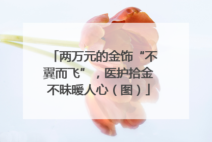 两万元的金饰“不翼而飞”，医护拾金不昧暖人心（图）