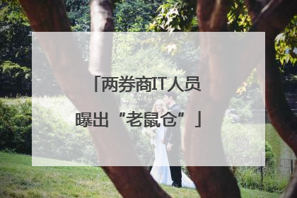 两券商IT人员曝出“老鼠仓”
