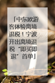 中东欧游客体验离境退税！宁波开出离境退税“即买即退”首单
