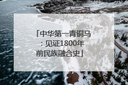 中华第一青铜马：见证1800年前民族融合史