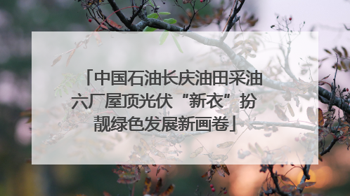 中国石油长庆油田采油六厂屋顶光伏“新衣”扮靓绿色发展新画卷