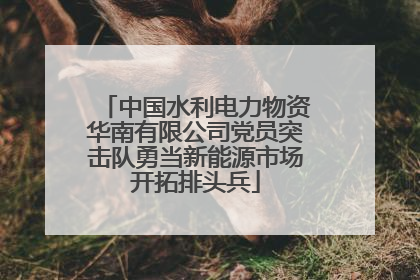 中国水利电力物资华南有限公司党员突击队勇当新能源市场开拓排头兵