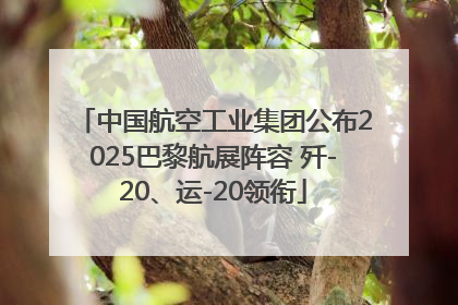 中国航空工业集团公布2025巴黎航展阵容 歼-20、运-20领衔