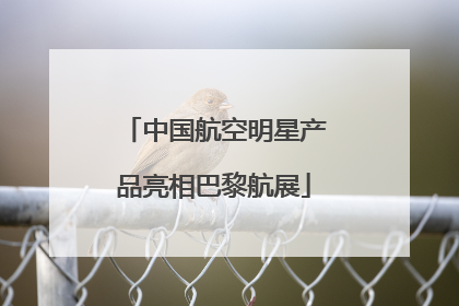 中国航空明星产品亮相巴黎航展