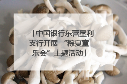 中国银行东营垦利支行开展 “粽夏童乐会”主题活动